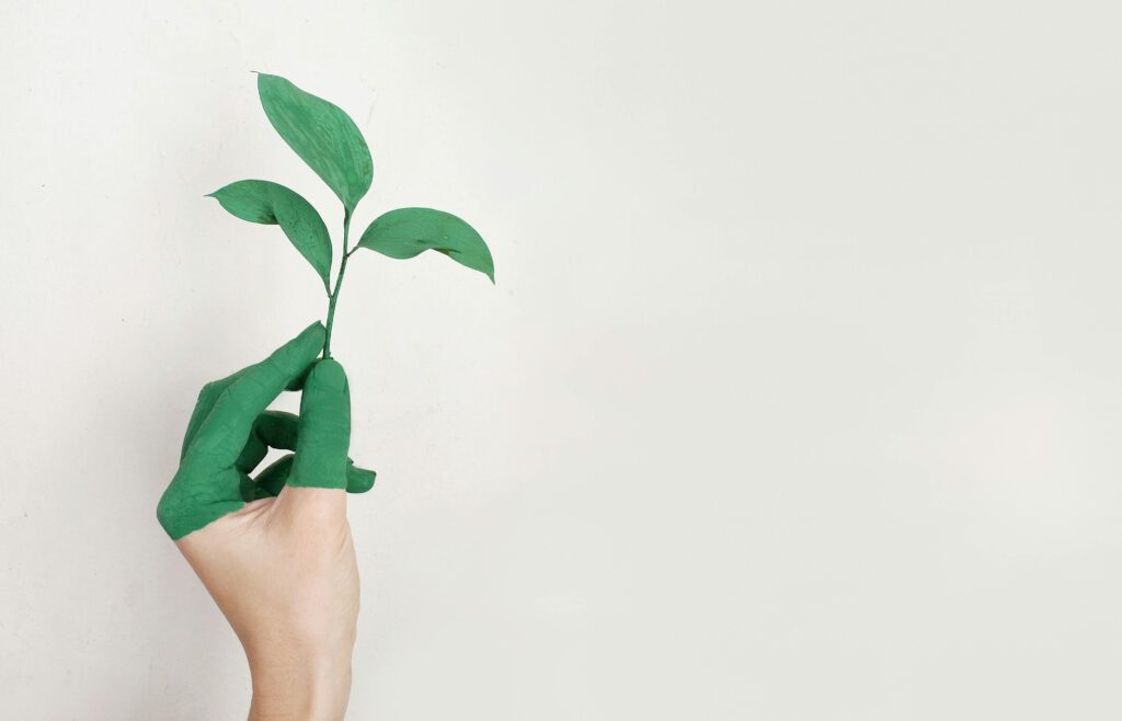 pexels-photo-886521-886521 A hand painted green holds a fresh plant sprout against a light background, symbolizing growth and sustainability.
